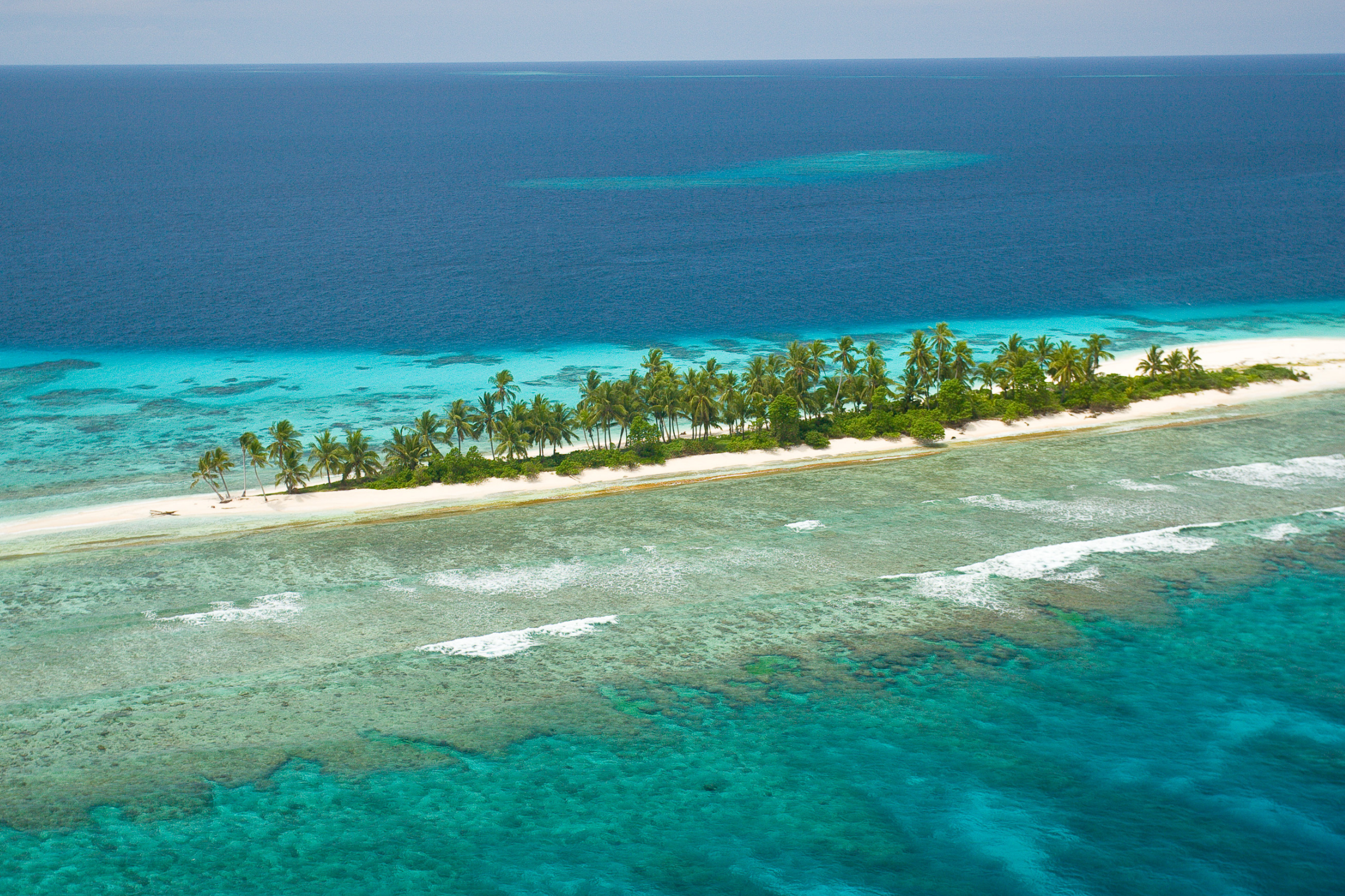 69 ali island.webp